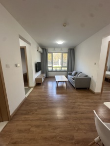 未来智谷人才公寓 3室1厅1卫 南 精装