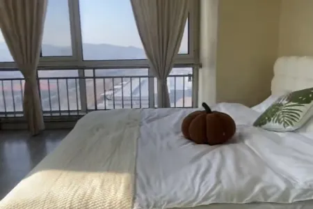 新天地壹号 1房1厅1卫 南北 精装