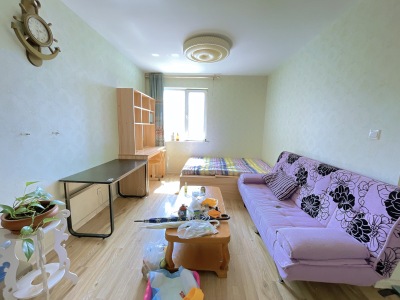 康大风和日丽 1室1厅1卫 西南 简装