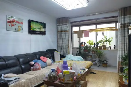 星河嘉园 3室2厅1卫南北 中装