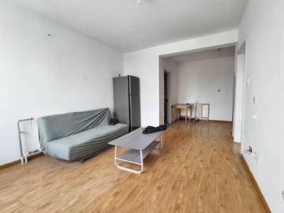 团结新城 1室1厅1卫 南北 精装