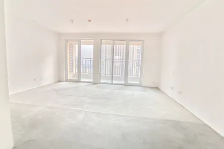 辛安府 3房2厅2卫 南北 毛坯