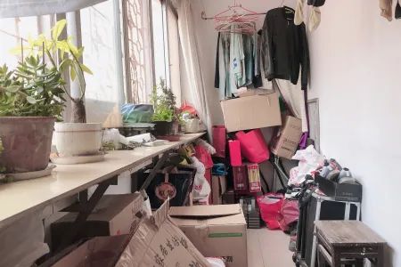 东小区 3室1厅1卫南北 中装