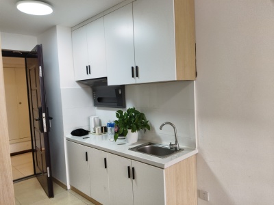 悦湖广场(商住楼)