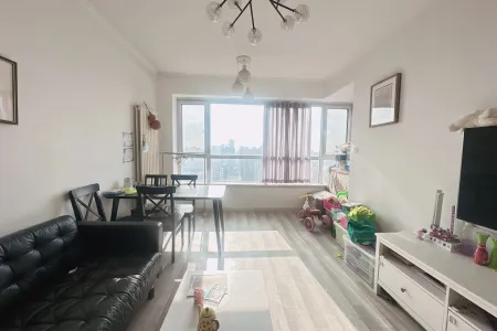 绿岛印象 2房2厅1卫 南 精装