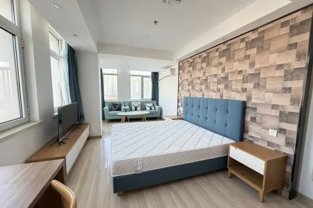 麦迪绅澎湃岛 1房1厅1卫 南北东 精装