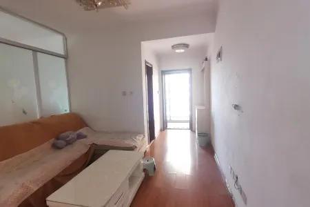 盛华未来城 1室1厅1卫 南 中装