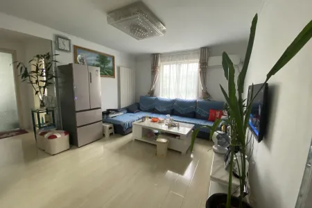 紫金山小区 3室2厅1卫南北 精装