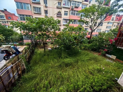 天山小区