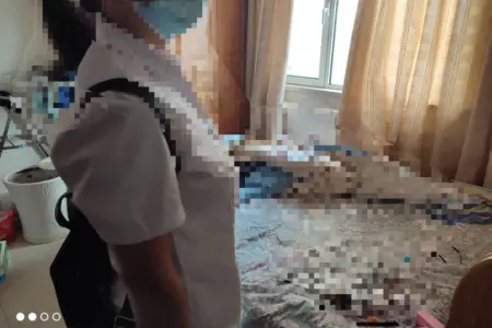 蜊叉泊 1室1厅1卫 北 精装