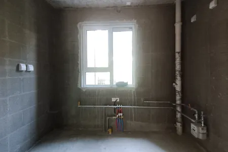 龙湖春江彼岸别墅 独栋4室1厅2卫 南北 毛坯