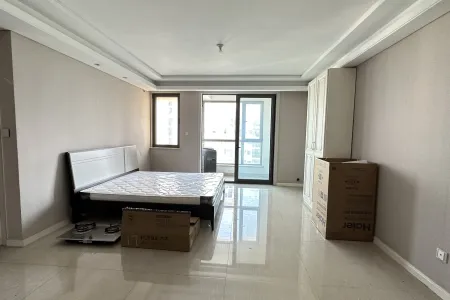 名嘉汇 1室1厅1卫 南 精装