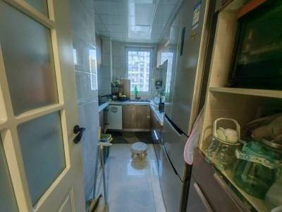 新华锦锦色漫山