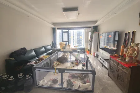 宸悦府 3室2厅2卫 南 精装