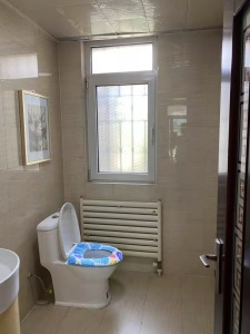 湛园 3室2厅2卫 南 精装