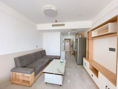 麦迪绅澎湃岛 1室1厅1卫 南 精装