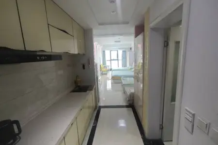 梦时代广场 1室1厅1卫南北 中装