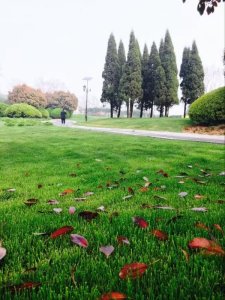 湛园海德公园一号