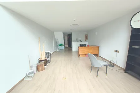 奥园翰林名苑商住楼 1室0厅1卫 南 精装