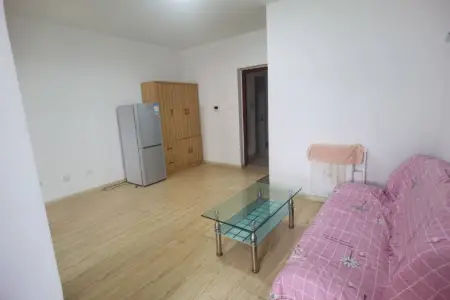 东升家园 1室1厅1卫 南北 精装