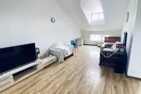 积米崖冷藏厂 2房1厅1卫 南北 中装