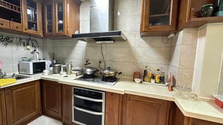 湛园海德公园一号