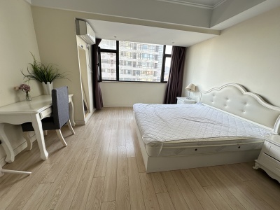 融创公馆C 1室0厅1卫 西 精装