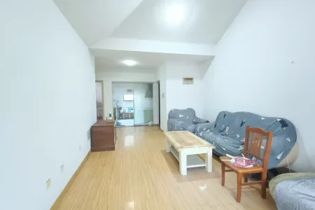 两埠岸西区 2室1厅1卫 南 普装