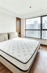 星光岛星朗（四期）