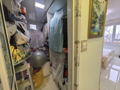 康大叶语东山