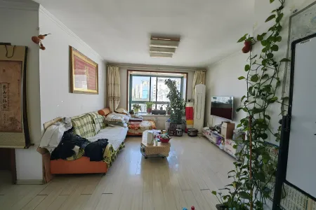 兴宝苑小区 3室2厅1卫 南 中装