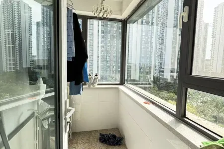 鲁商蓝岸国际南区 1室1厅1卫 南 普装