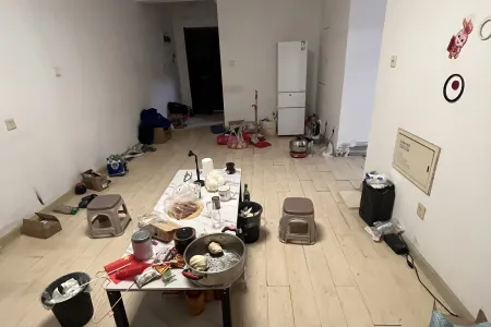 万达维多利亚湾（31-67号楼） 3室2厅1卫 南北 精装