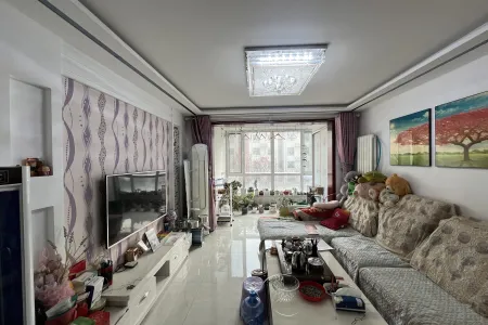 星河嘉园 2房2厅1卫 南北 精装