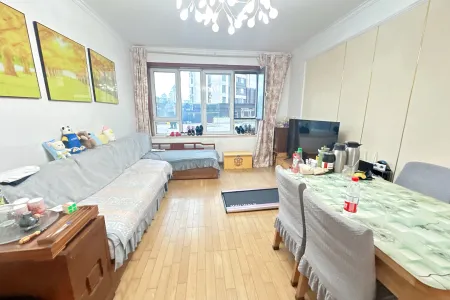 绿岛印象 3房2厅1卫 南北 精装