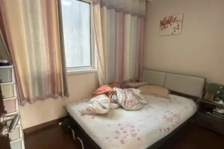 宸悦府 3室2厅1卫东北 精装