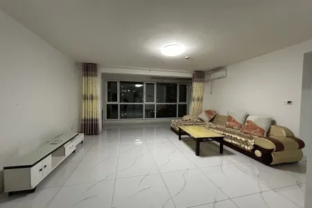 辛安府 3室2厅2卫 南 精装