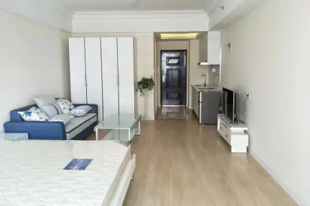 融创公馆A 1室1厅1卫北 精装