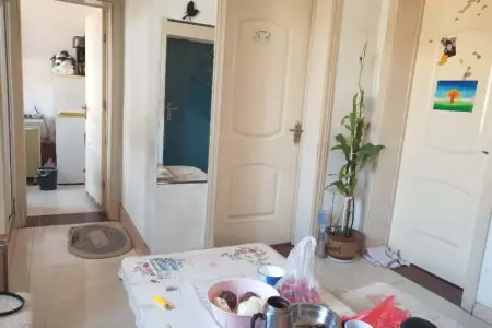 豪华装修,拎包入住,真正的地铁楼盘,升值空间无限