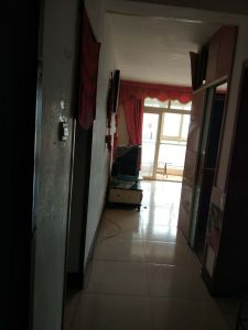 金汇泉小区 1室1厅1卫 南 简装