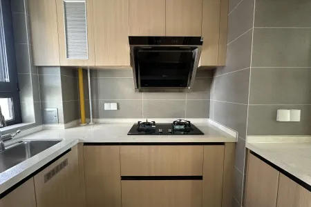 万科城市之光二期 3室2厅2卫 南北 精装