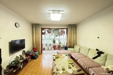 盛世江山北区 3室2厅2卫南北 精装