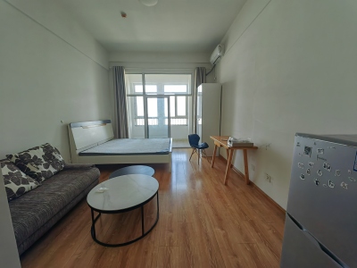 东升家园 1室1厅1卫 南 精装