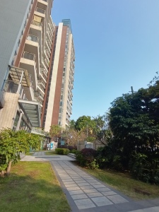 滨湖一号