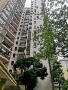 云港花园