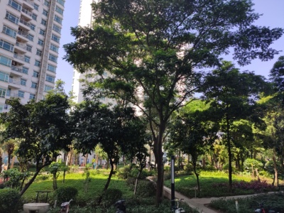 祈福生活无限小区