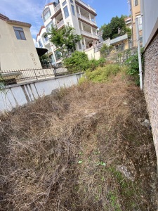 富力金港城