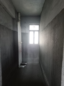 滨湖一号