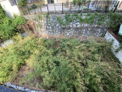 富力金港城