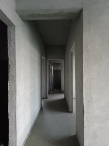 滨湖一号